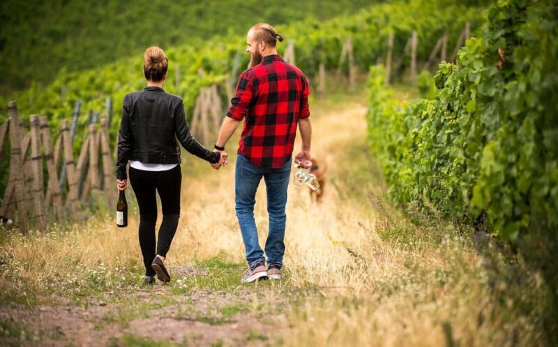 Meissen: Wine hike in the Spaargebirge including 3 wine tastings - Exploring the Passion of Local Winegrowers