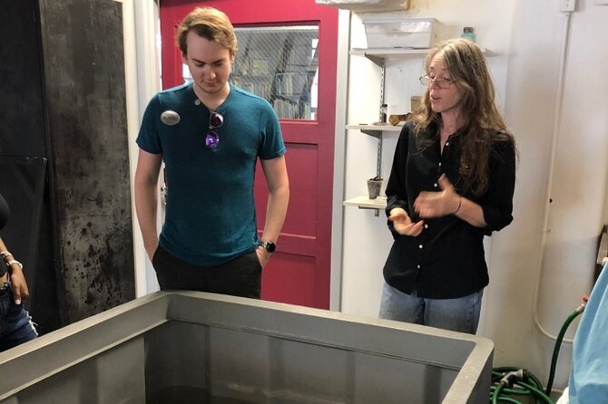 Mel Fisher Maritime Museum Admission Ticket - Educational Value and Family Considerations