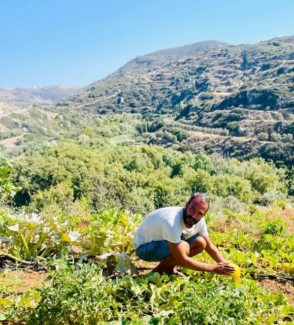 Melanes: Naxos Perivoli Farm & Cooking Class with Wood Fire - Why This Tour Is a Great Choice for Food and Culture Enthusiasts