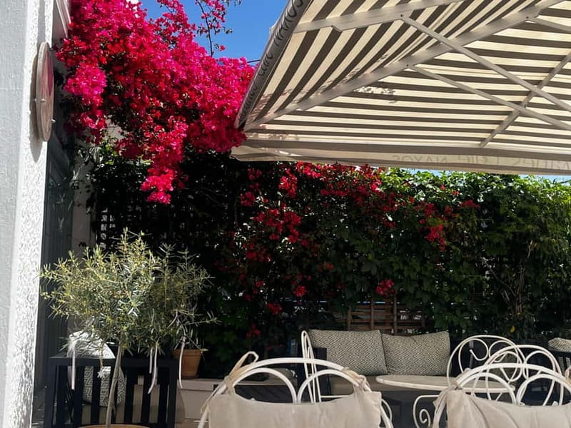 Melanes Tour: Village Highlights & Garden-to-Table Meal - Enjoying the Authentic Garden-to-Table Meal at Melanes Café