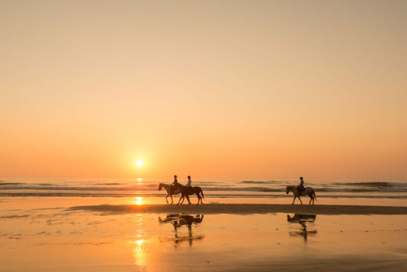 Melides: Horse Riding on the Beach with Wine Tasting - Discover Melides: Horse Riding on the Beach with Wine Tasting