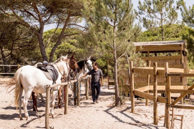 Melides: Horse Riding on the Beach with Wine Tasting - The Unique Coastal Landscape of Melides