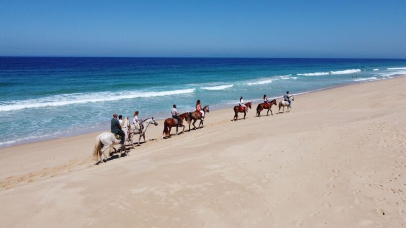 Melides: Horseback Riding on Melides Beach - Riding Through the Atlantic Forest to the Beach