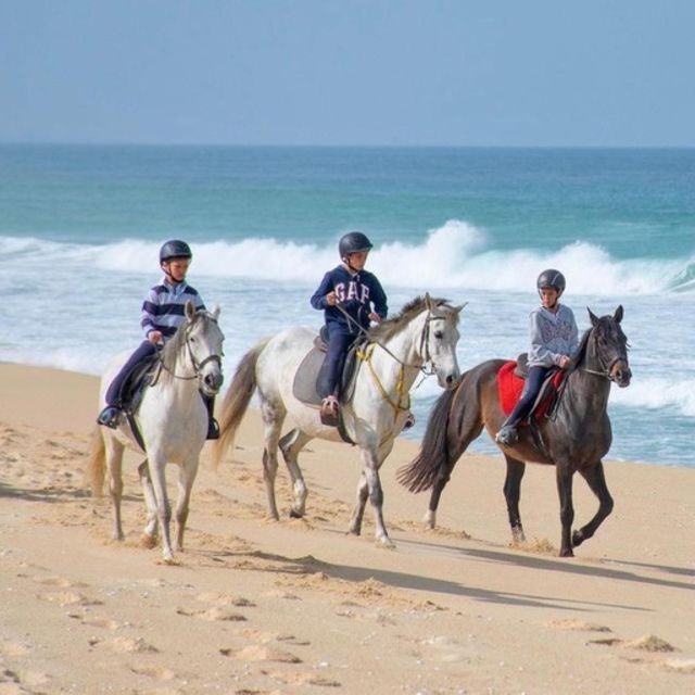 Melides: Horseback Riding on Melides Beach - The Experience on Melides Beach