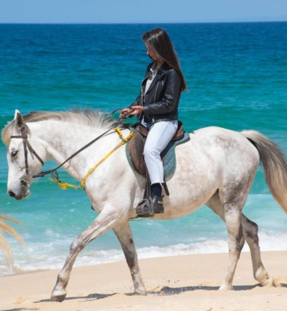Melides: Horseback Riding on Melides Beach - Capturing the Moment with Photos
