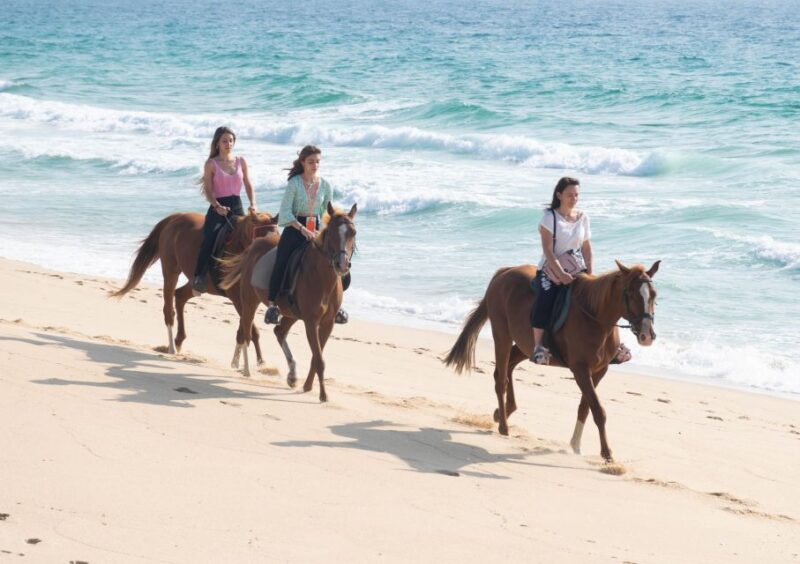 Melides: Horseback Riding on Melides Beach - Accessibility and Suitability for All Riders