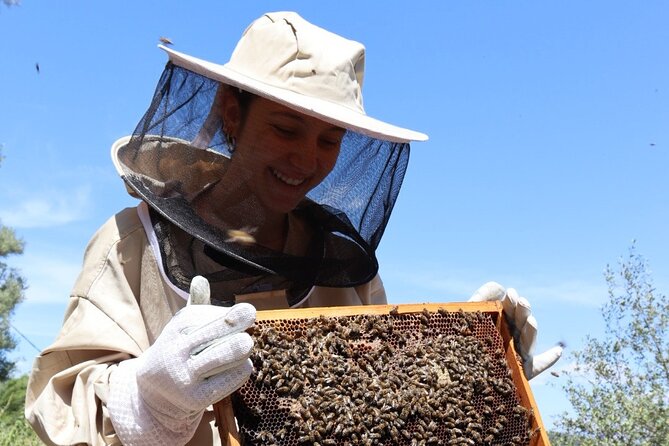 Melissini Beekeeping Experience - Why This Beekeeping Experience Stands Out in Lefkada