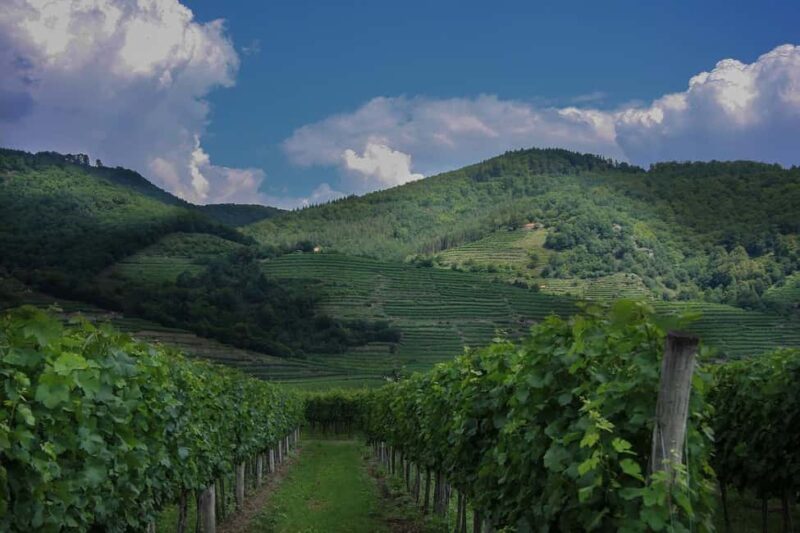 Melk Abbey, Salzburg, and Traunsee Day Trip by Van - Practical Details and Accessibility