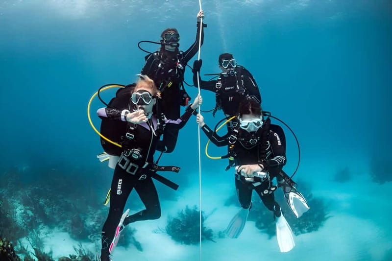 Mellieha: Introductory Diving Session in the Open Sea - Key Points