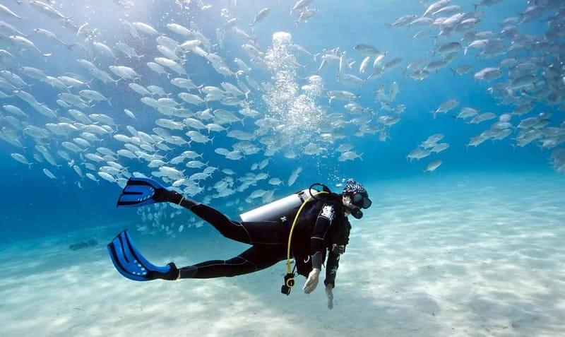 Mellieha: Introductory Diving Session in the Open Sea - What to Expect During Theoretical and Practical Training