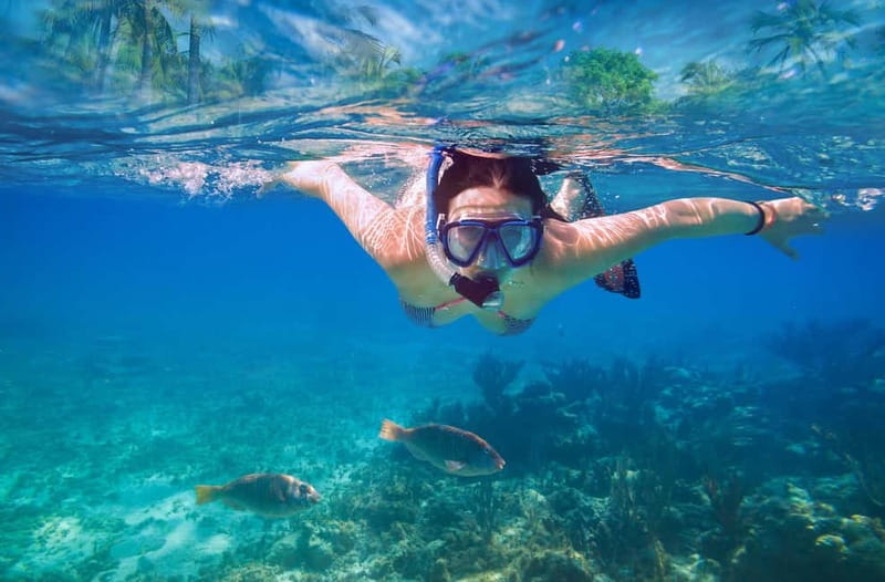 Mellieha: Round Comino, Blue Lagoon & Gozo Cruise with Water - Practical Details: Booking, Safety, and Regulations