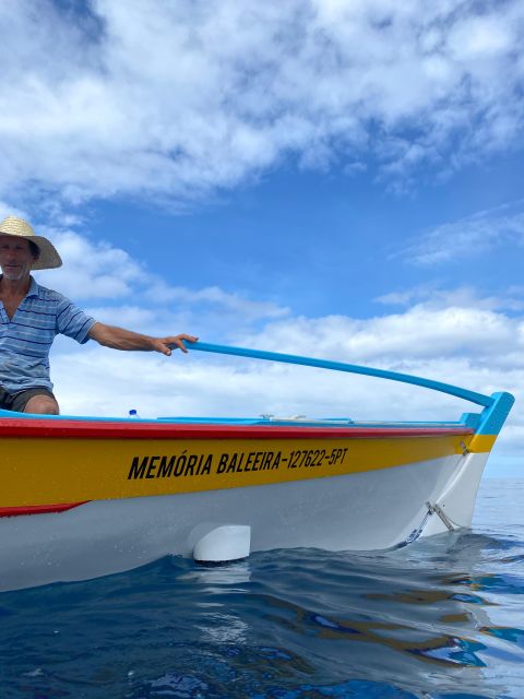 Memória Baleeira - Unforgetable Ride in the waters of Pico - Key Points
