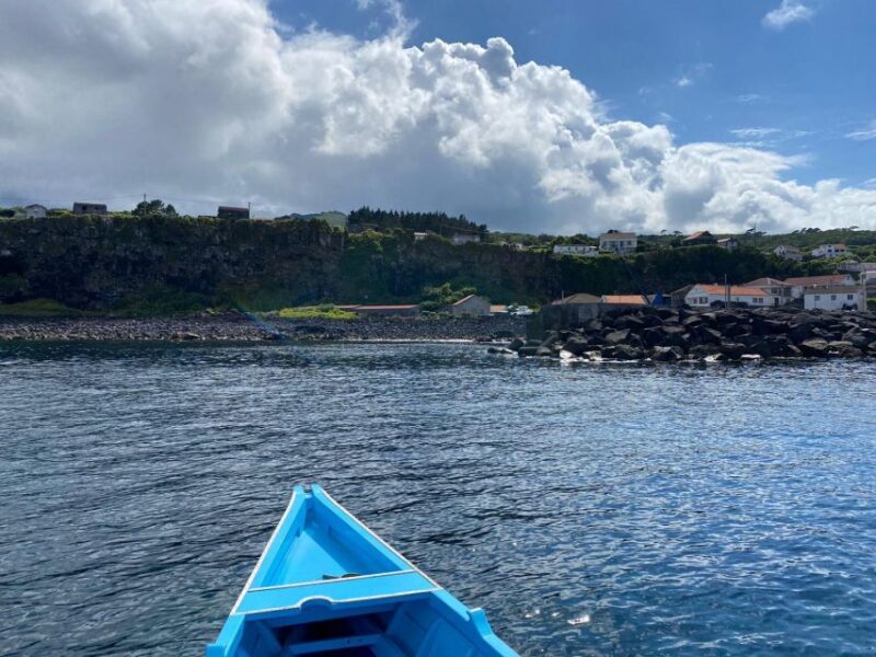 Memória Baleeira - Unforgetable Ride in the waters of Pico - Why Choose Memória Baleeira for Pico Waters