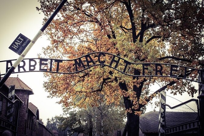 Memorial and Museum Auschwitz-Birkenau Tour & Krakow Transfer - Auschwitz-Birkenau Tour with Krakow Transfer: Is It Right for You?