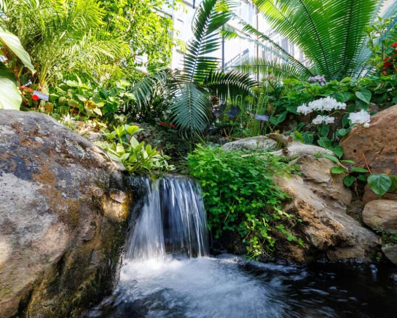 Memphis Botanic Garden Entry Ticket - Key Points