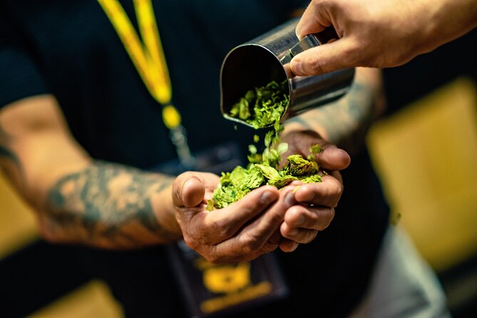 Memphis Signature Guided Brewery Tour - Exploring Grind City Brewing Co.