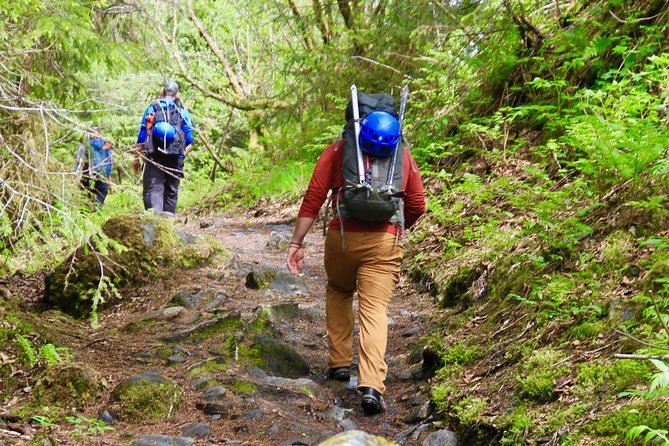 Mendenhall Glacier Guided Hike Juneau - Customer Experience and Challenges