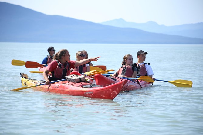 Mendenhall Glacier View Sea Kayaking - Stories and Local Lore from Guides