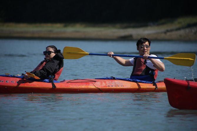 Mendenhall Glacier View Sea Kayaking - Wildlife Encounters During the Tour