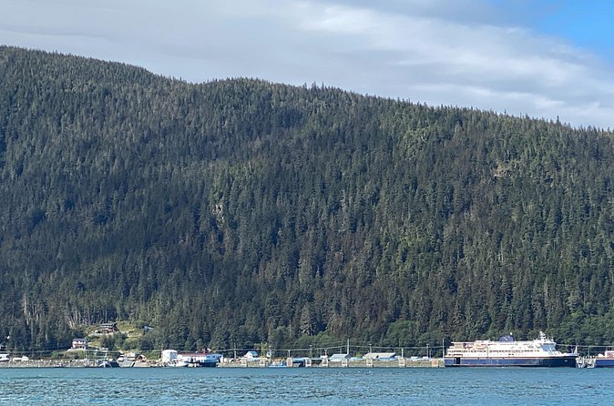 Mendenhall Glacier Waterfall and Whale Watching Tour - Hike and Photos at Nugget Falls