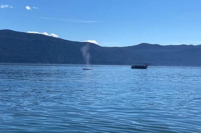 Mendenhall Glacier Waterfall and Whale Watching Tour - Whale Watching on a Mammal-Friendly Jet Boat
