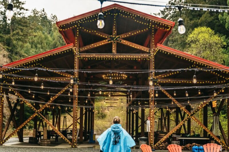 Mendocino County: Pudding Creek Railbikes - Family-Friendly Aspects and Riding Requirements