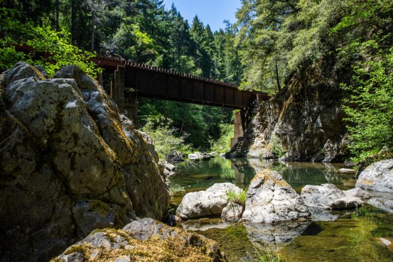 Mendocino County: Railbiking Tour Along the Noyo River - Practical Tips for the Tour