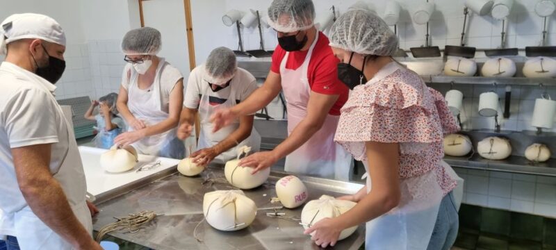 Menorca: Cheesemaking and Farm-Fresh Product Tasting - Discover Menorca’s Cheesemaking Tradition in Ferreries