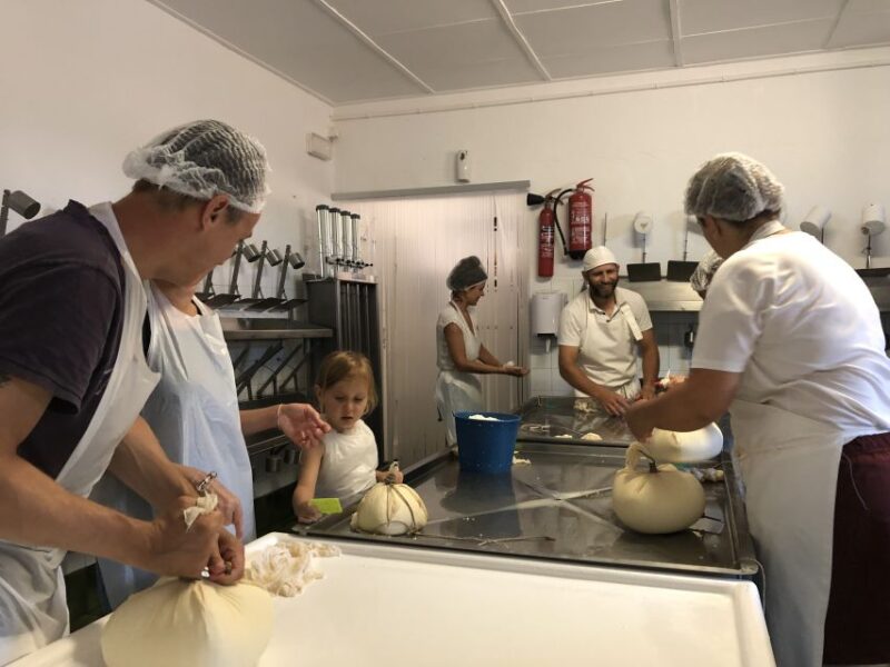 Menorca: Cheesemaking and Farm-Fresh Product Tasting - Hands-On Cheese Making in the Cheesemaking Room