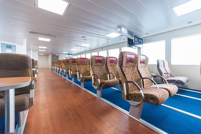 Menorca full-day Tour from Mallorca - Scenic Harbor Cruise for Relaxing Views