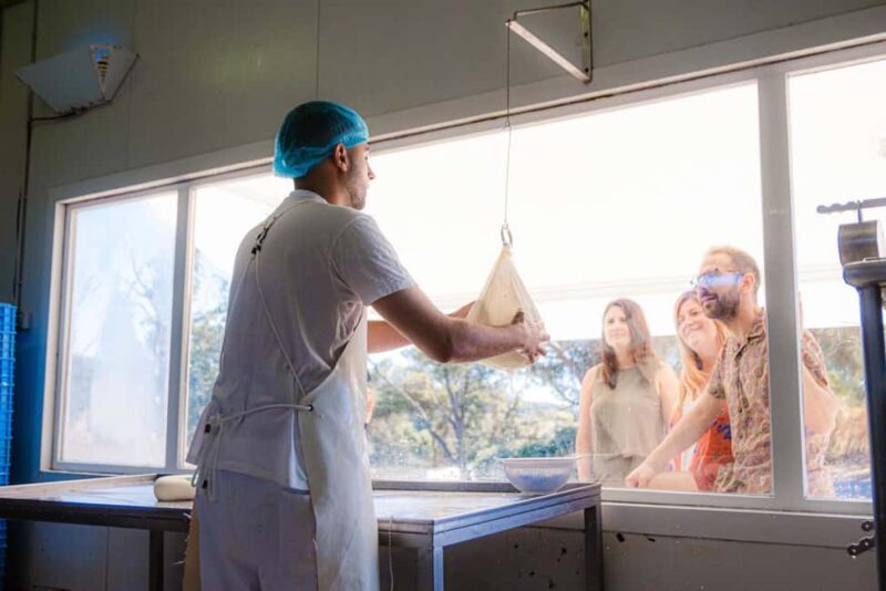 Menorca: Guided visit to the Subaida cheese factory, - Key Points