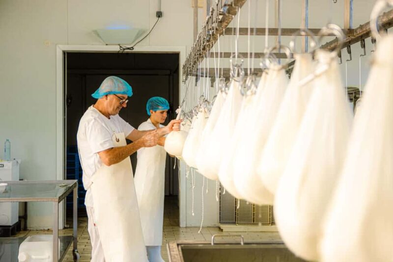 Menorca: Guided visit to the Subaida cheese factory, - Inside the Farm: Facilities and Animal Encounters