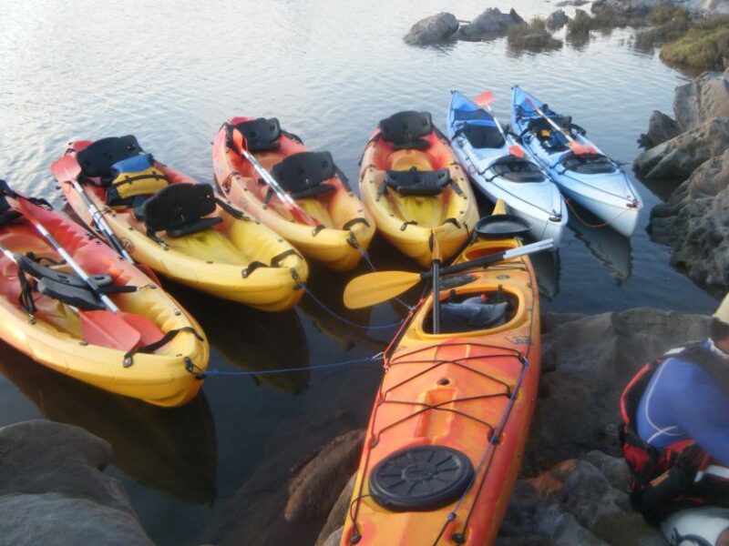 Menorca: Half-Day Kayak Excursion in Fornells - Key Points