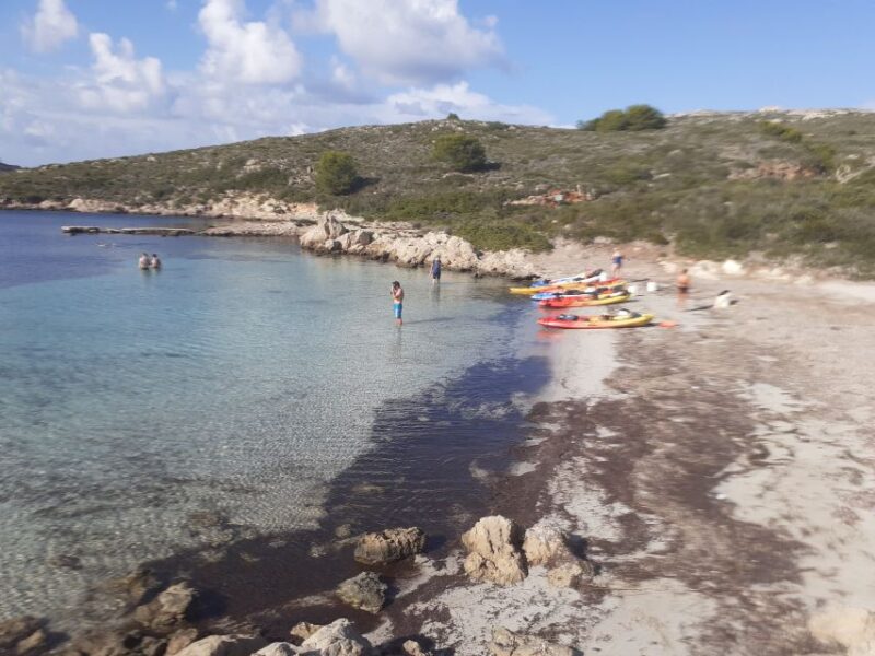Menorca: Half-Day Kayak Excursion in Fornells - Beach Breaks and Sunbathing Opportunities