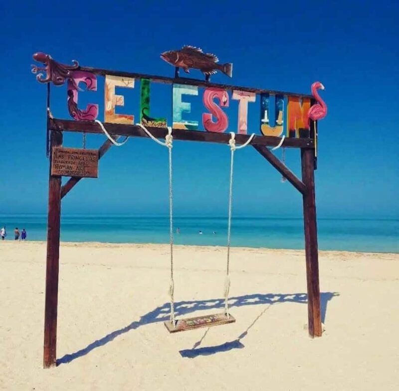 Mérida: Celestun Mangrove Boat Tour with Lunch - Lunch by the Sea: Fresh Seafood and Regional Flavors