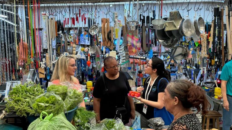 Mérida Cooking Class, taste of Yucatan - Key Points