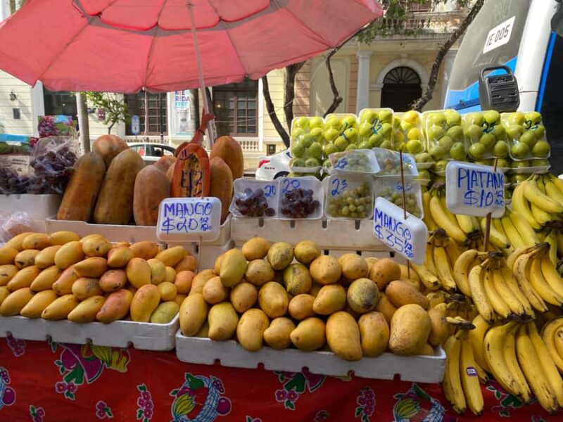 Mérida: Day of the Dead Cooking Experience - Key Points