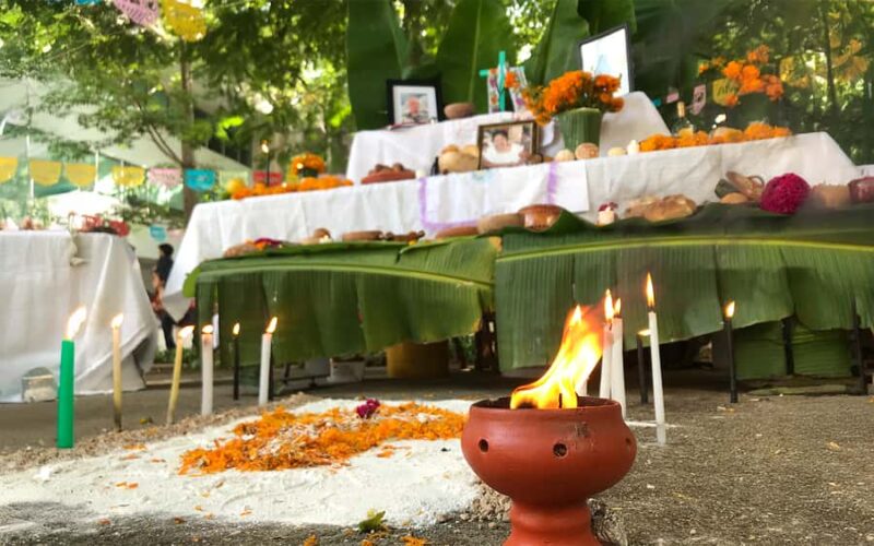 Mérida: Day of the Dead Cooking Experience - Discover the Significance of Día de los Muertos in Mérida