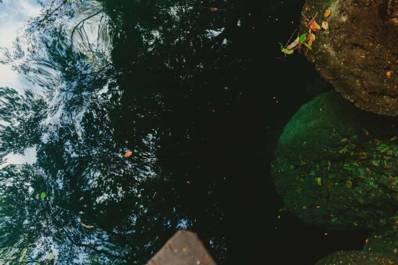 Merida: Explore With The One You Love, Day trip to Cenotes. - Discover the Charm of the Mérida Cenotes Day Trip in Yucatán