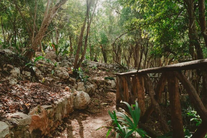 Merida: Explore With The One You Love, Day trip to Cenotes. - Strolling Hand-in-Hand Through Lush Pathways