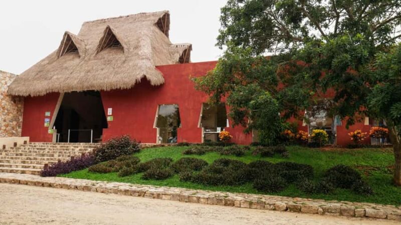 Merida: Explore With The One You Love, Day trip to Cenotes. - Snorkeling and Water Activities for the Adventurous Couple