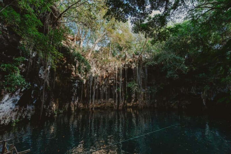Merida: Explore With The One You Love, Day trip to Cenotes. - Who Will Enjoy This Cenotes Adventure?