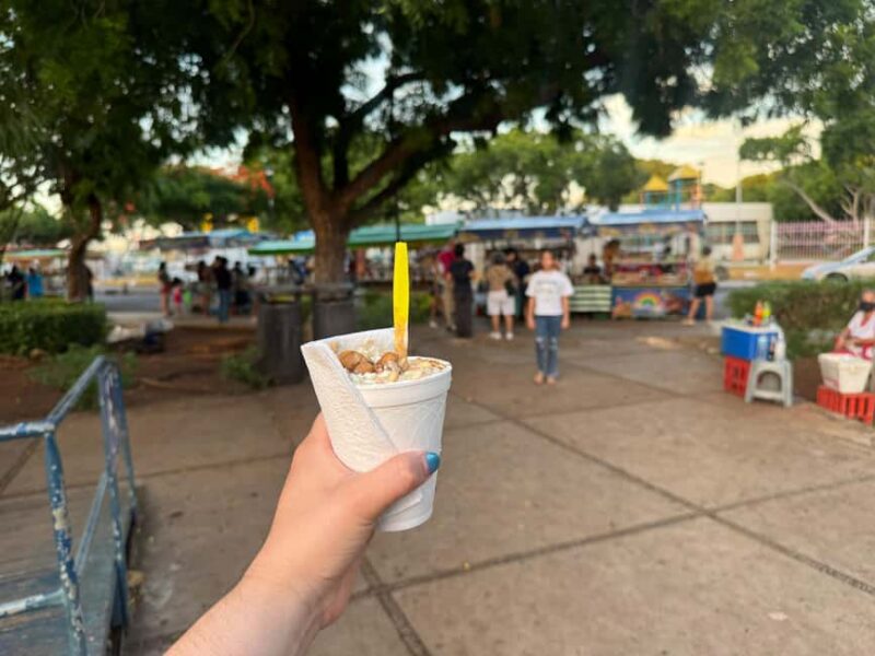 Mérida: Flavors After Dark - A Local Snacks & Drinks Tour - Convenient Transfers and Tour Logistics