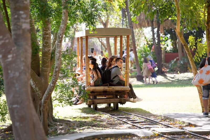 Merida: Hacienda Sotuta de Peon w/ Cenote & Henequen Tour - Exploring Similar Experiences in the Region
