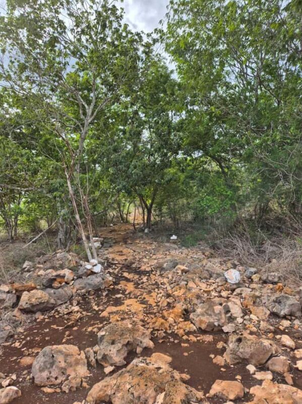 Merida: Hiking, Caving and Bat Watching Tour in the Yucatan - Key Points