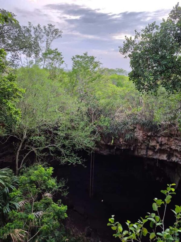 Merida: Hiking, Caving and Bat Watching Tour in the Yucatan - Bat Watching at a Limestone Cave