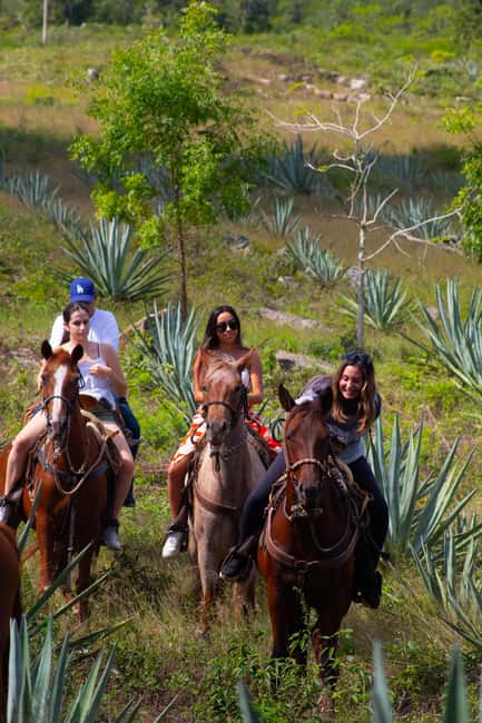 Mérida: Jungle & Cenotes Tour with Horseriding & Lunch - Riding Through the Jungle and Henequen Fields