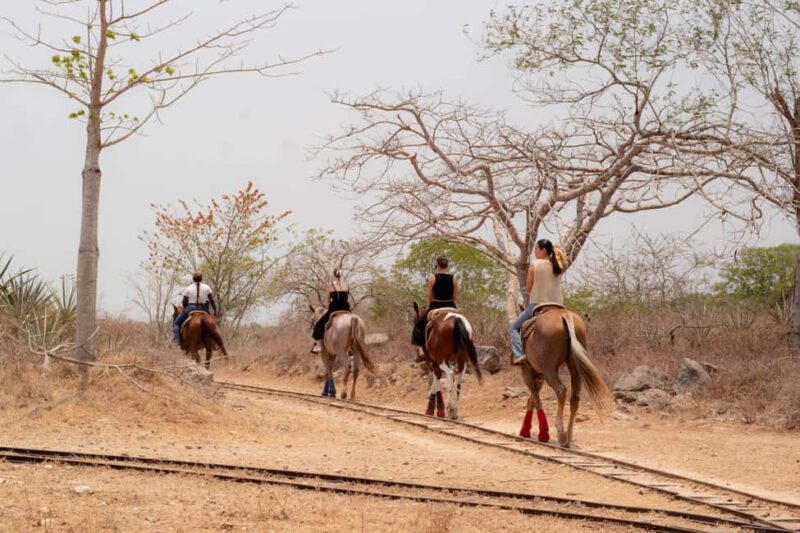 Mérida: Jungle & Cenotes Tour with Horseriding & Lunch - Limitations and Considerations