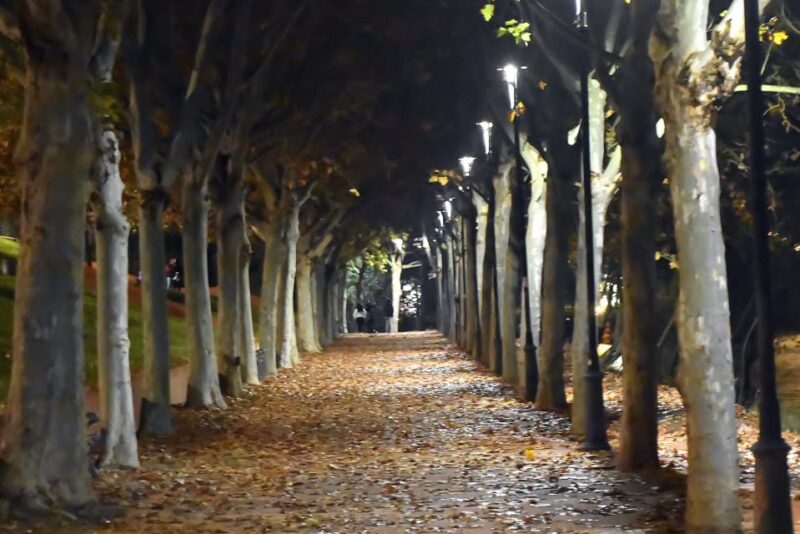 Merida: Legends and Mysteries Night Tour - What’s Included and What to Consider