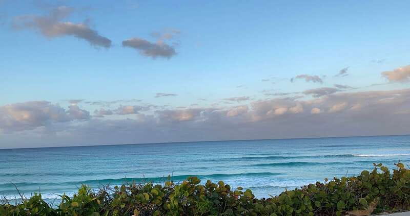 Mérida: Port of Progreso & Xcambo Mayan Ruins Tour - Return Journey and Hotel Drop-Off in Mérida